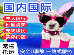萧山航空快运国际宠物托运 【国